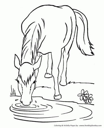 Horse Coloring Pages | Printable Lead a horse to water Coloring Page |  HonkingDonkey