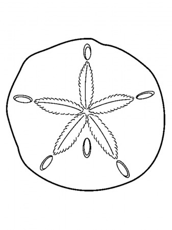Free Sand Dollar coloring pages. Download and print Sand Dollar coloring  pages