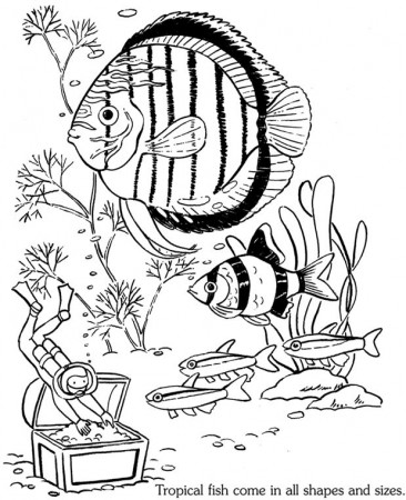 Pin on Coloring pages first edition