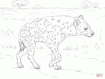 Spotted Hyena Walking In The Savannah coloring page | Free ...