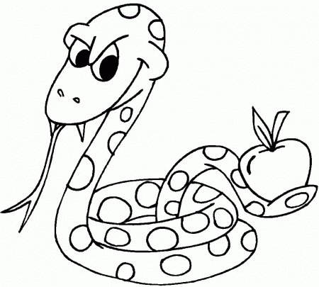 9 Pics of Printable Reptile Coloring Pages - Rainforest Animal ...
