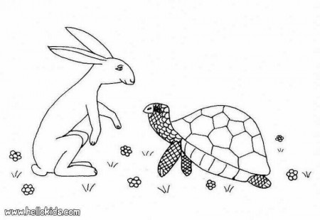 TORTOISE coloring pages - Hare and tortoise