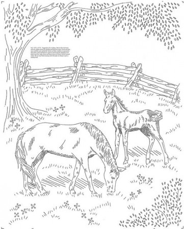 horses in a meadow | Horse coloring pages, Coloring pages, Horse coloring