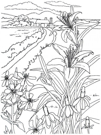 Corn stalks and farm fields - living in the country coloring book page | Coloring  pages, Coloring books, Coloring pictures