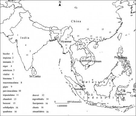 Asia Map Coloring Page (Page 1) - Line.17QQ.com