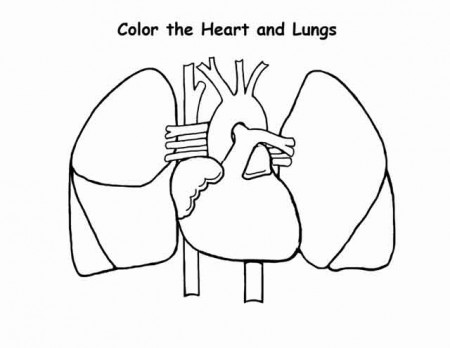 Coloring Heatr And Lung Pages For Kids Pdf | Coloring Pages Blog Sensation