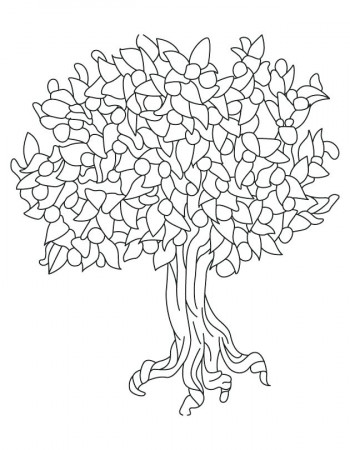 Magnolia tree coloring pages