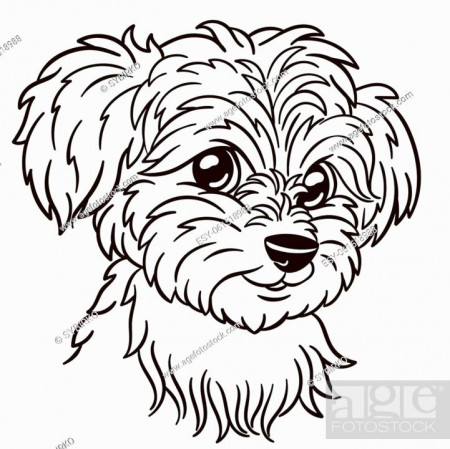 Maltese dog cartoon illustration. Cute animal print for t-shirts, mugs,  totes, stickers, Stock Vector, Vector And Low Budget Royalty Free Image.  Pic. ESY-061518988 | agefotostock