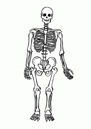Learning Free Printable Skeleton Coloring Pages For Kids, Top ...