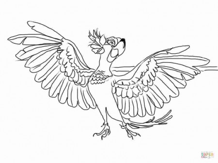 Jewel Rio Coloring Pages rio coloring pages coloring pages to ...