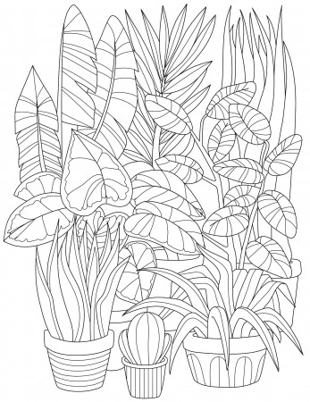 Premium Vector | Coloring book page with different flowers in pots sheet to  be colored with various plants in buckets big leaves going up blooming herbs