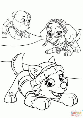 Everest Plays with Skye and Rubble coloring page | Free Printable ...