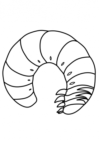 Stag beetle larvae free coloring page for kids｜Nurie-world.com