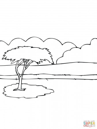 African Acacia Tree coloring page | Free Printable Coloring Pages