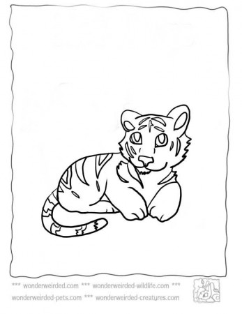 Baby Tiger Coloring Pages,Echo's Cute Tiger Coloring Pages For Kids