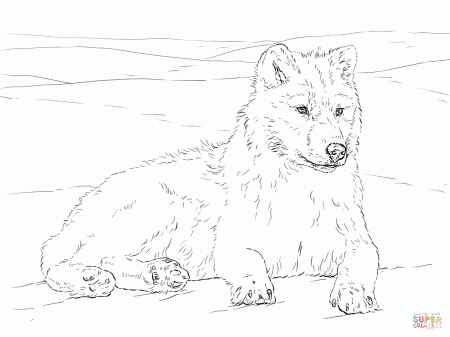 Arctic Wolf coloring page | Free Printable Coloring Pages | Wolf colors,  Dog coloring page, Puppy coloring pages