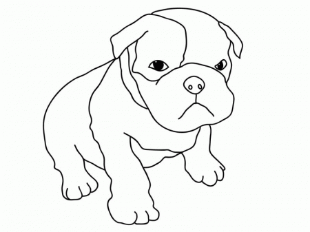 Cute Pitbull Puppy Coloring Page: Cute Pitbull Puppy Coloring Page ...