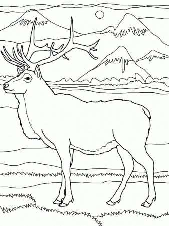 Download Online Coloring Pages for Free - Part 14