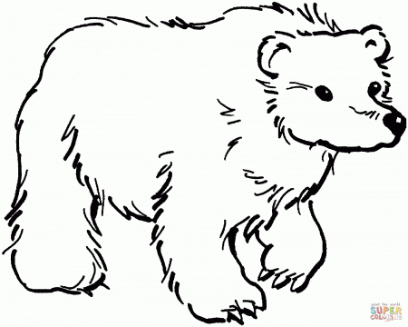 Creative Brown Bears Coloring Pages Free Coloring Pages - Widetheme