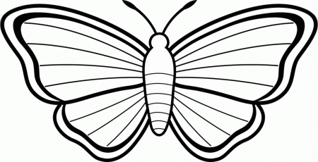 Butterfly S For Kids - Coloring Pages for Kids and for Adults