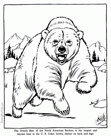 Bear Coloring Pages For Kids | Printable Coloring Pages