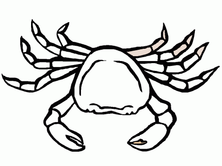 Hermit Crab Coloring Pages For Kids 318 | Free Printable Coloring 