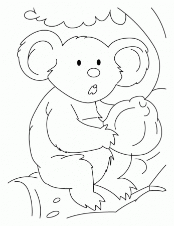 Black-nose koala coloring pages | Download Free Black-nose koala 