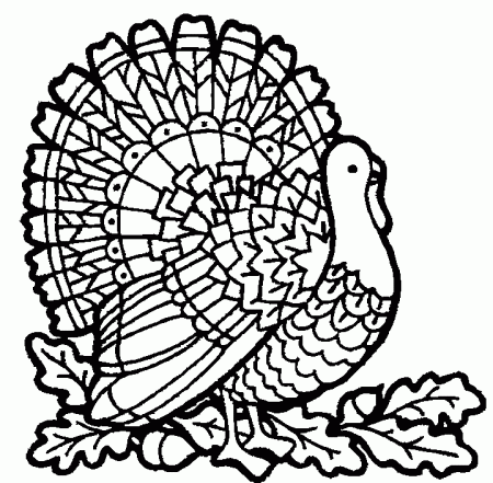 Thanksgiving Turkey Coloring Pages to Print for Kids