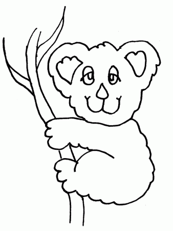 Koala Coloring Pages For Kids Images & Pictures - Becuo
