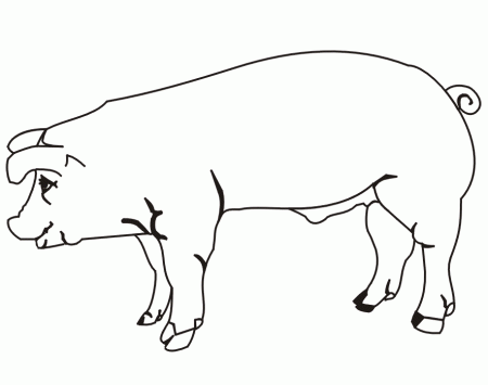 Pig Coloring Page | A Realistic Drawing Of A Pig