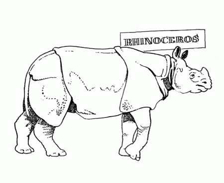 zoo animal coloring pages |Rhinoceros coloring pages | Free 