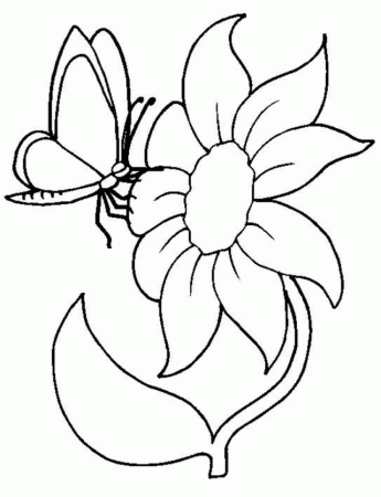 Coloring Page Sunflower And Butterfly KidsColoringPics 249078 