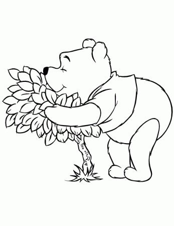 the pooh bee Colouring Pages (page 3)
