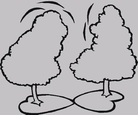 Two Pine Trees Coloring For Kids - Trees Coloring Pages : iKids 