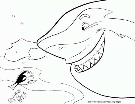 Hammerhead Shark Coloring Pages To Print : Hammerhead Shark 
