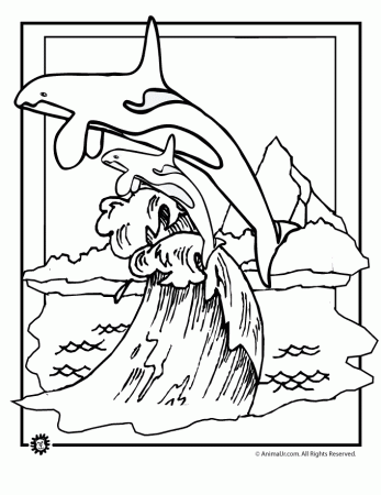 Whale Coloring Pages Killer And Baby Page Animal Jr