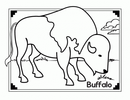 Buffalo Coloring Pages