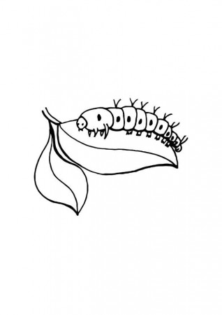 Coloring page caterpillar - img 10719.