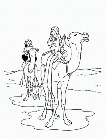 Tintin In Arab Coloring Page Coloringplus 160525 Tintin Coloring Pages