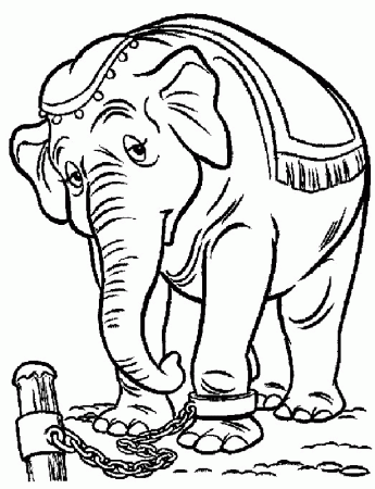 Dumbo the elephant Coloring Pages 17 | Free Printable Coloring 