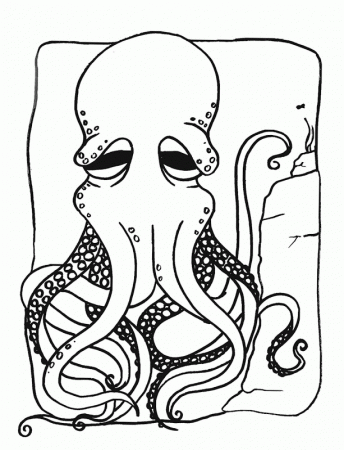 Coloring Pages For Octopus