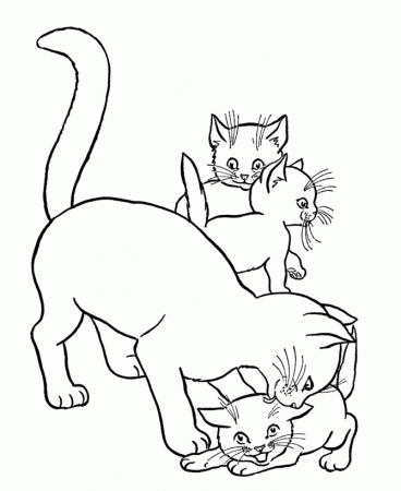 Coloring Pages Of Warrior Cats : Coloring Pages Of Cats. Coloring 