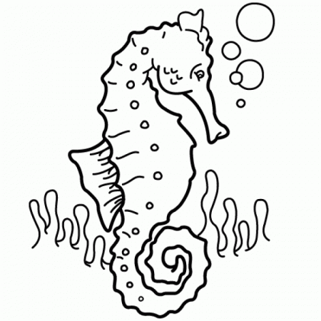 Seahorse Pictures To Color - HD Printable Coloring Pages