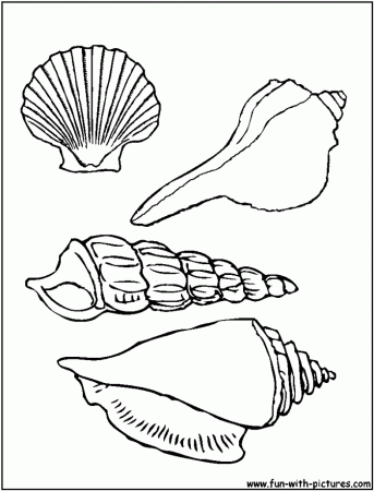 Sea Shells Coloring Pages | 99coloring.com