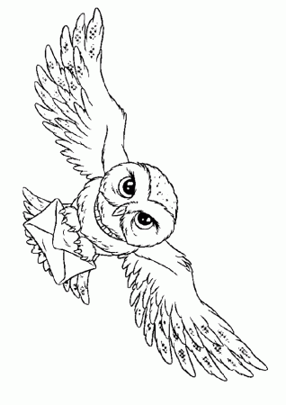 Harry potter coloring page | coloring pages for kids, coloring 