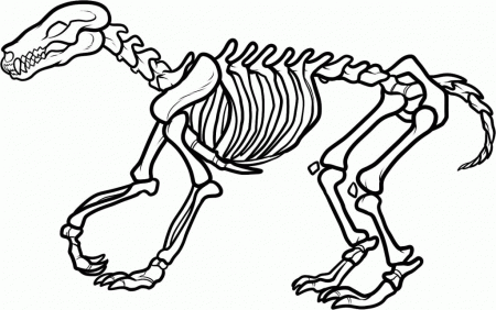 Skeleton Coloring Pages - Free Coloring Pages For KidsFree 
