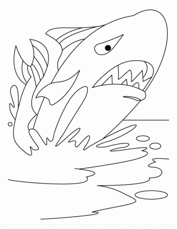 Giant whale on jive style coloring pages | Download Free Giant 