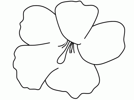 Pix For > Simple Sunflower Coloring Pages