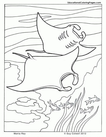 Fish Coloring Book | Printable Coloring Pages