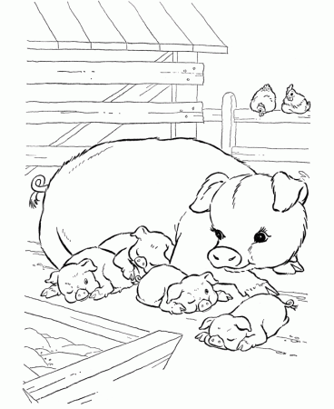 Farm Animal Coloring Pages for kids | 4-h